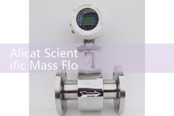 Jet Fuel Flow Meter 1 Inch: Compact Solutions for Limited Space Skids